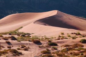 desert-65310_1280